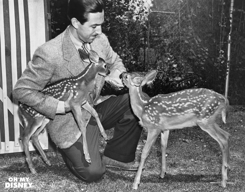 Illustration for article titled Celebrate Bambi’s 74th anniversary with this look back at its creation